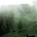 Lynn Johnson - @LynnJohnso94448 - Twitter