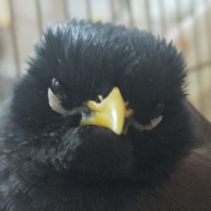 domain_ir's profile picture. 