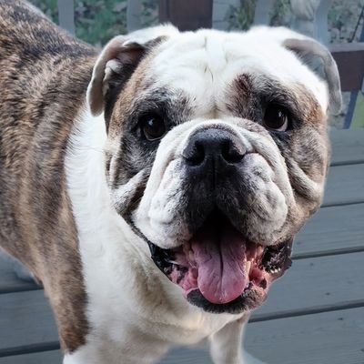 EricVandh2o's profile picture. Getting Raw Dogged by Life Everyday!