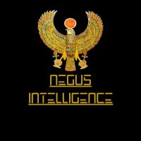 Negus Intelligence(@NegusIntel) 's Twitter Profile Photo