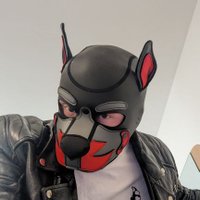 Camopup (@camopup_) 's Twitter Profile