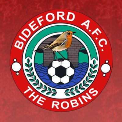 BidefordAFC Profile Picture