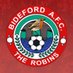 Bideford AFC (@BidefordAFC) Twitter profile photo