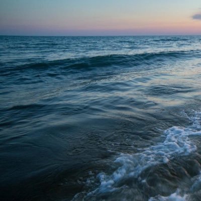 hala_musaad's profile picture. 