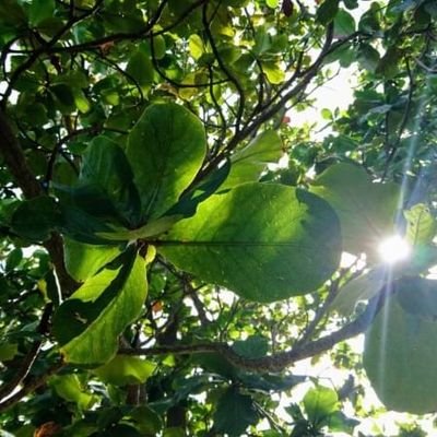 62lH4SGLKILG297's profile picture. 