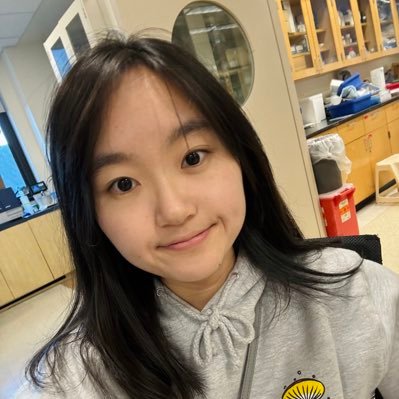 Wenjing Cheng Profile