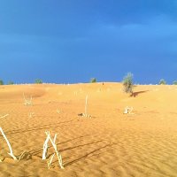 med mahmoud ould abdellahi (@medmahmoudzegle) Twitter profile photo