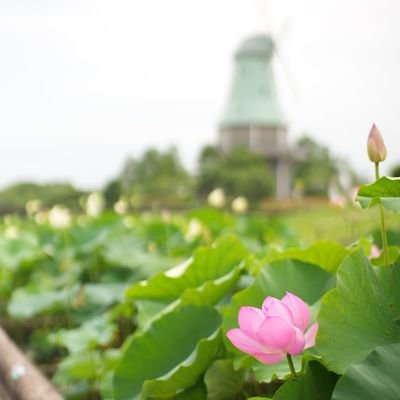 基本毎日写真の投稿をしています✨
ジャンル問わず撮ってますが💫得に好きなのがお花とお星です💐✨🪻
漢です。バイク　Ninja400
写真はメディアからお願いします♫
無断転載禁止してます🚫
機材📷α7 iv　📷サブRx100m5a　スマホ写真はXperia1 ivかiPhone12promax