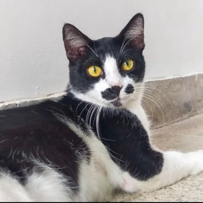 jonathas1792's profile picture. bio