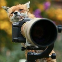 stevefoxwick (@stevefoxwick) 's Twitter Profile