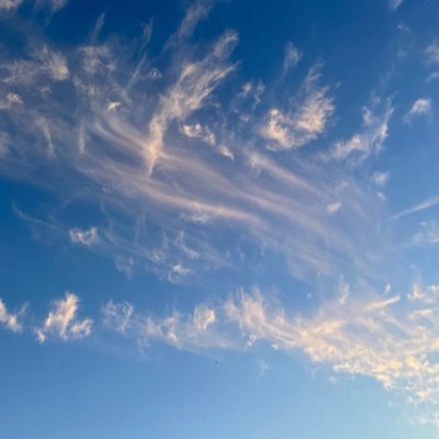 S57818's profile picture. ↑18 腐、百合👍
色々　原ﾈ申　よーよちゃん、しょーくん、きーにち、はい膳その他諸々　
コミュ障。