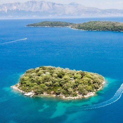 ArnoMaria6's profile picture. 2023年1月手持$100进圈的菜鸟。请多指教。