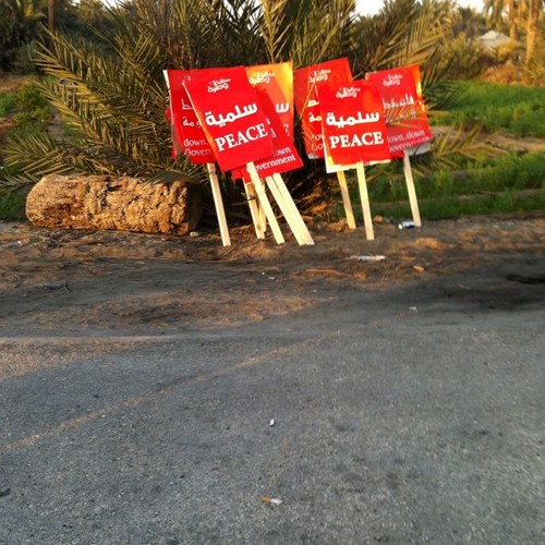 fedakalroh's profile picture. 