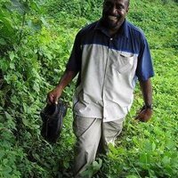 Malcolm Dalesa (@dalesamalcolm) 's Twitter Profile