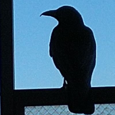 NantonakuTanka's profile picture. 2022年11月26日、何となくスタート。
改悪百人一首（12月14日〜2023年２月６日）。方向音痴で歩くの遅め。ヘッダーは本と羊さま（@hon_to_hitsuji ）。筆名：虚見津山都（そらみつやまと）。