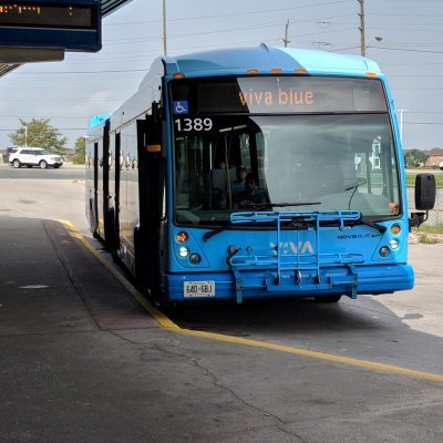 qweqweeqwe61799's profile picture. yrt is horrible, but it's the best we can get for some reason