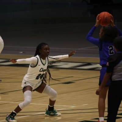 co/23 ⛹🏾‍♀️ AHS Alum, 5’5 SG, #24, COD💚🖤