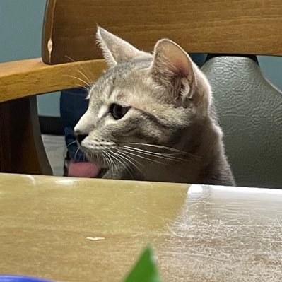 soccer_TAKi2's profile picture. 趣味:MTG／統率者 クラウド、ティーダ、スリヴァー／東京MTG／seb mckinnon先生の大ファン、AP収集したい