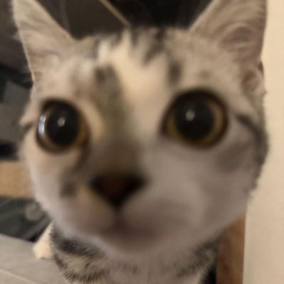 iaさんのプロフィール画像
