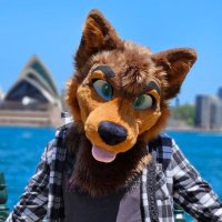 Justin The Kelpie! (@justindakelpo) 's Twitter Profile Photo