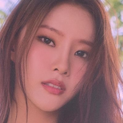 weeeklykcharts's profile picture. 