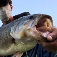 ta.sk (@piguret18) 's Twitter Profile