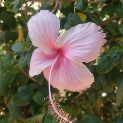 AndresV68610684's profile picture. Lo lindo