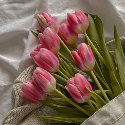 Aaaaaa2537's profile picture. 