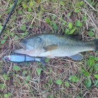 まっきー (@power2999) Twitter profile photo