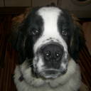 mark batchelor - @batchelor_mark - Twitter