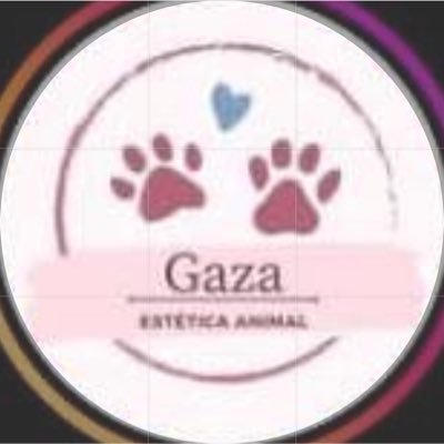 Loving and caring for animals, please support the homeless, abandoned and the hungry cats 😺🐈 and dogs in Gaza🇵🇸🇵🇸🐕🐕🐕