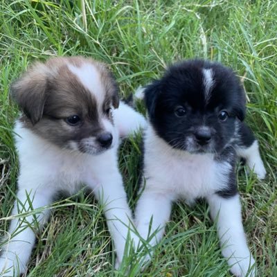 zhongjiezhao4's profile picture. 闲来无聊,瞎逛