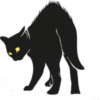 Wildcat Anarchist Fair(@WildcatFair) 's Twitter Profile Photo