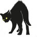Wildcat Anarchist Fair (@wildcatfair) Twitter profile photo Wildcat Anarchist Fair (@wildcatfair) Twitter profile photo