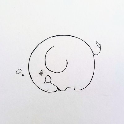 つづりのししかさんのプロフィール画像