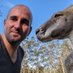 Luis Pedro Coelho (@luispedrocoelho) Twitter profile photo Luis Pedro Coelho (@luispedrocoelho) Twitter profile photo
