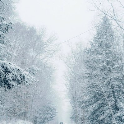 HansonClai9964's profile picture. 