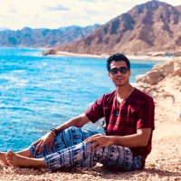 Ahmed 🇵🇸 (@ahmedelian95) 's Twitter Profile