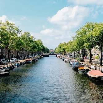 adjacency177383's profile picture. 