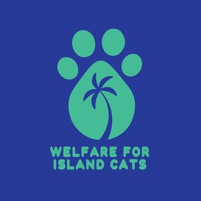 Dedicated to rescuing, healing, and loving island cats. Join us in making a difference in their lives. 🐾