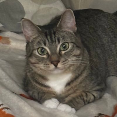 thelouisvsnap's profile picture. Streets 1:12