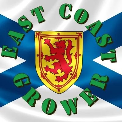 EastCoastGrows's profile picture. **ACMPR Licensed**
Hey All. I'm a budget grower in small town Nova Scotia. Come check out my adventures in growing lots of things green