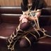由希 (@yusa_uuu2) Twitter profile photo 由希 (@yusa_uuu2) Twitter profile photo