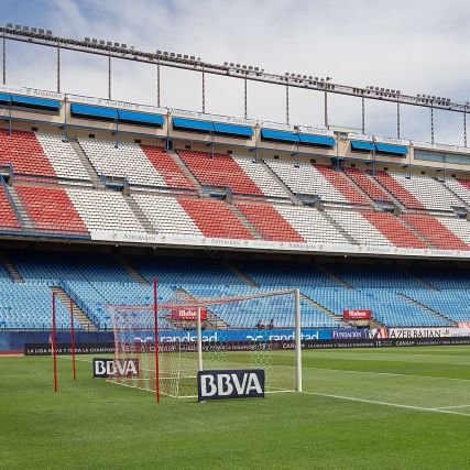 DOMIN888's profile picture. 