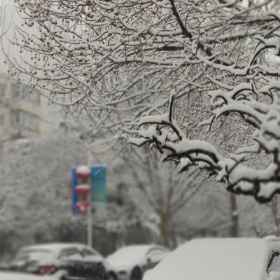 guyuexia1990's profile picture. Developer