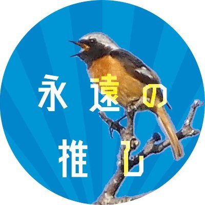AKA_images's profile picture. 近所で出会ったジョウビタキに誘われて鳥見女子になりました✨
2022年4月に望遠コンデジLUMIX DC-FZ85を購入し、野鳥観察と野鳥撮影を楽しんでいます。
オレンジおなかの野鳥が好き。
現在の機材→オリンパスOM-1+100-400
インスタ→https://t.co/OWPDnCUXbM
