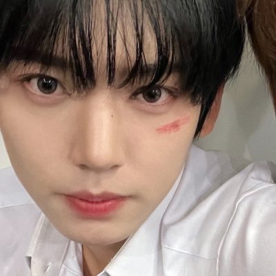 mypuppyisyujin Profile Picture