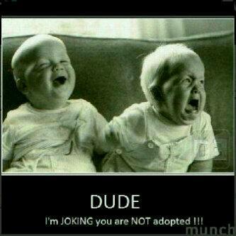 Just here to supply you with the latest jokes and funny pics... #TeamFollowBack #AutoFollow #FollowFriday