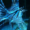 Darren Goldsmith - @dmgoldsmith13 - Twitter