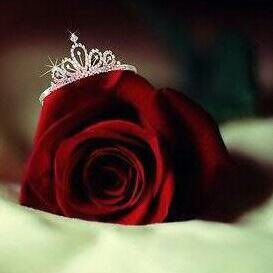 black_rose2004's profile picture. 